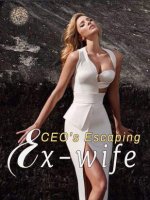 CEO's Escaping Ex-wife