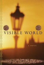 Visible World 