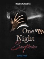 One Night Surprise