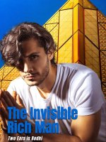 The Invisible Rich Man Novel 